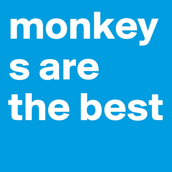 monkeys are the best