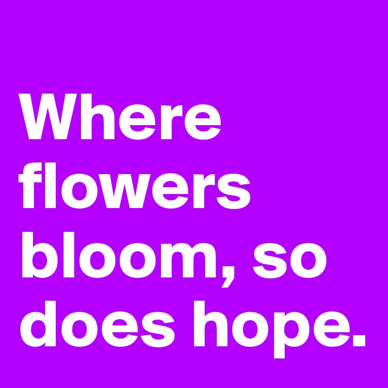 Where flowers bloom, so does hope. Post by Redick on Boldomatic