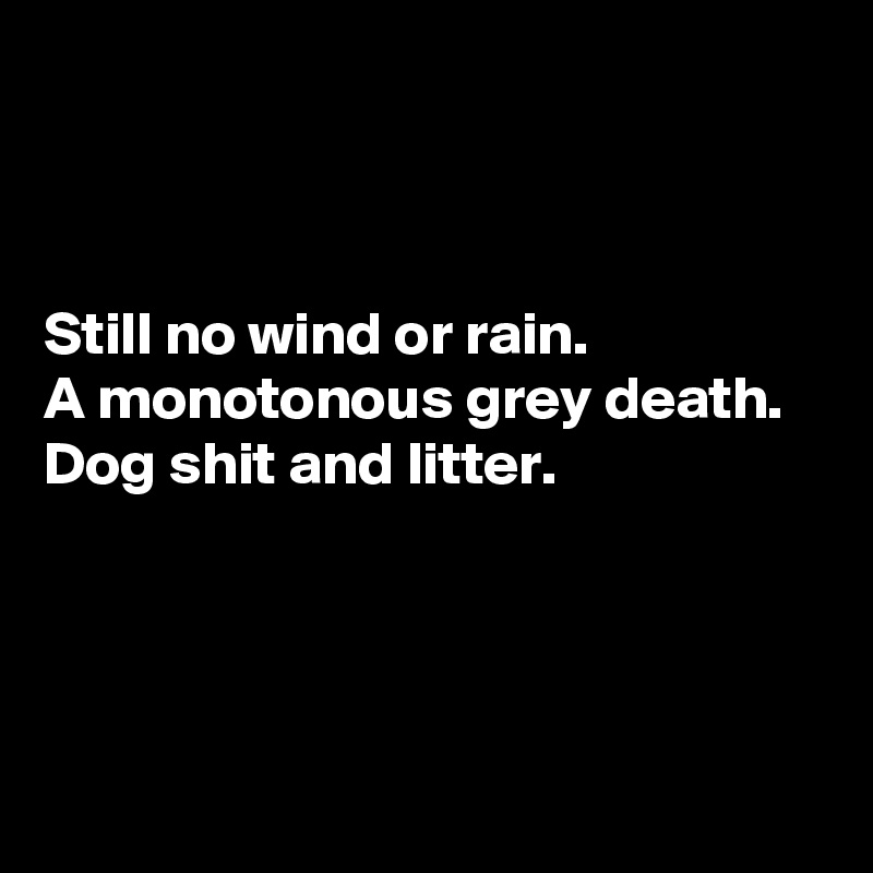 



Still no wind or rain. 
A monotonous grey death. 
Dog shit and litter.



