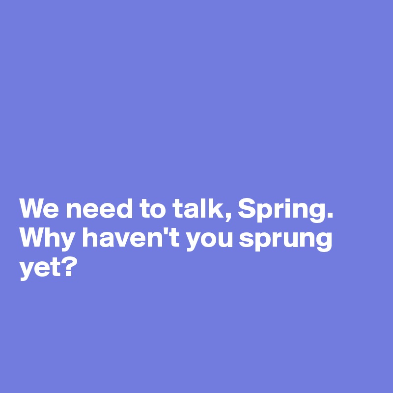 





We need to talk, Spring. Why haven't you sprung yet?


