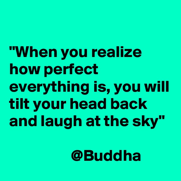 

"When you realize how perfect everything is, you will tilt your head back and laugh at the sky" 
          
                   @Buddha                  
