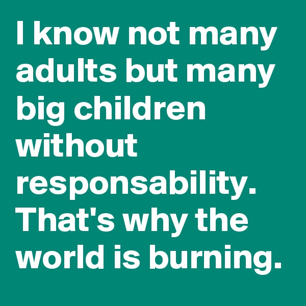 I know not many adults but many big children without responsability. That's why the world is burning.