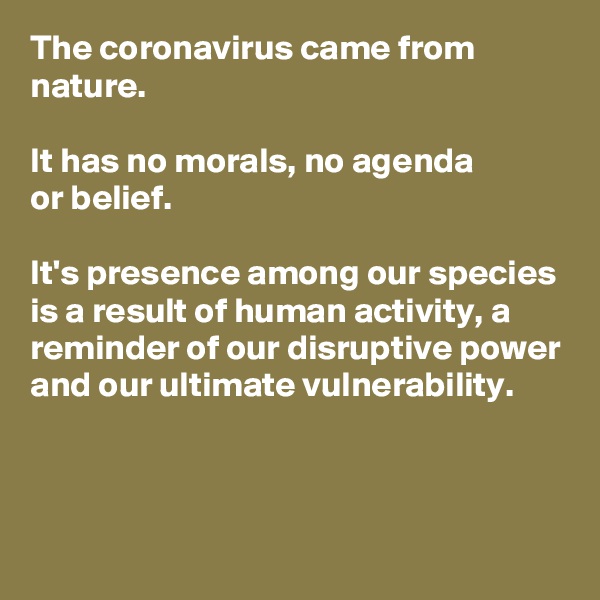 The coronavirus came from nature. 

It has no morals, no agenda 
or belief. 

It's presence among our species is a result of human activity, a reminder of our disruptive power and our ultimate vulnerability. 



