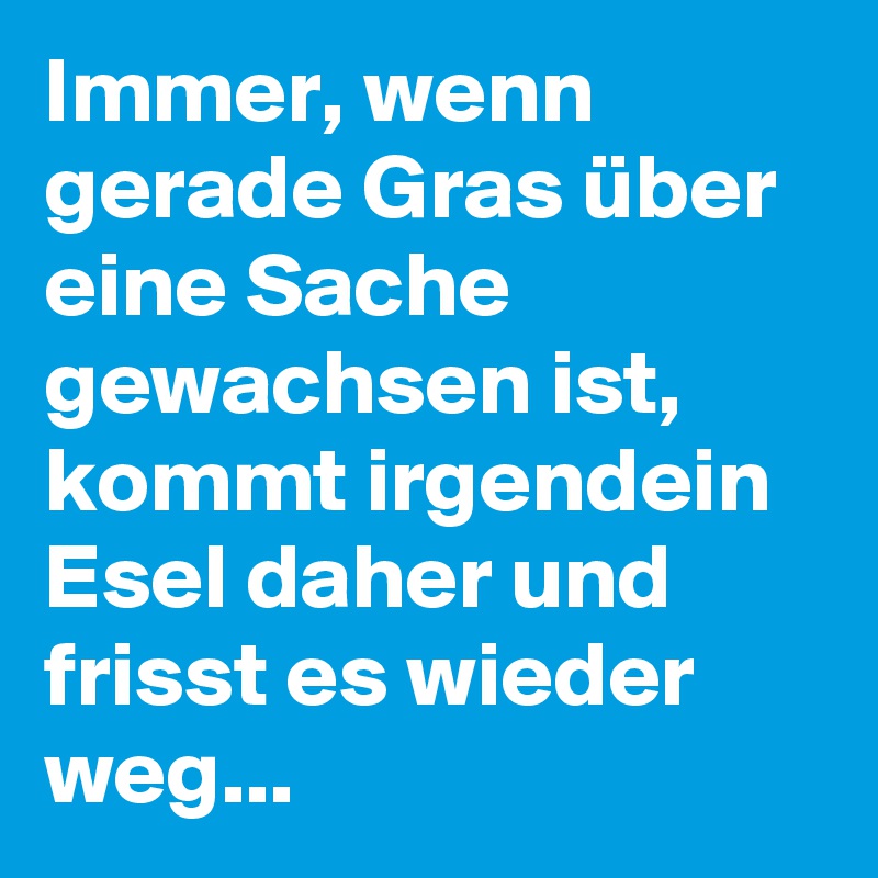 Immer, wenn gerade Gras über eine Sache gewachsen ist, kommt irgendein Esel daher und frisst es wieder weg...