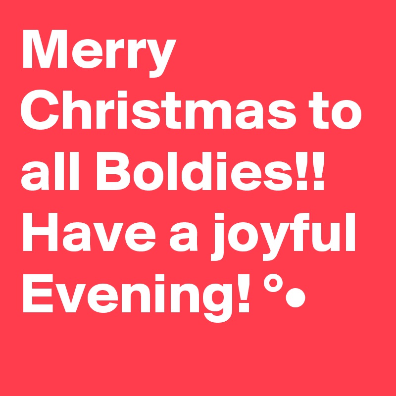Merry Christmas to all Boldies!! Have a joyful Evening! °•