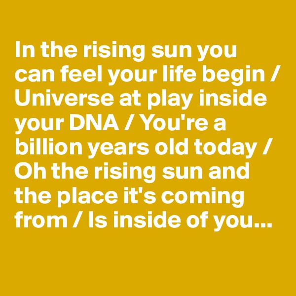 
In the rising sun you can feel your life begin / Universe at play inside your DNA / You're a billion years old today / Oh the rising sun and the place it's coming from / Is inside of you...
