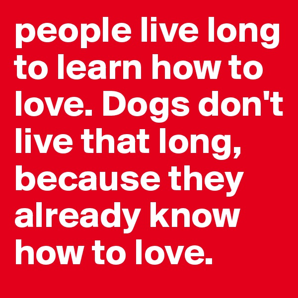 people live long to learn how to love. Dogs don't live that long, because they already know how to love.