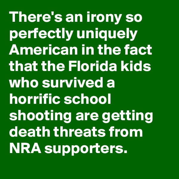 There's an irony so perfectly uniquely American in the fact that the Florida kids who survived a horrific school shooting are getting death threats from NRA supporters.