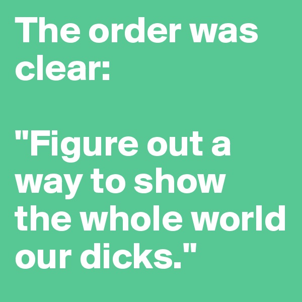 The order was clear: 

"Figure out a way to show the whole world our dicks."