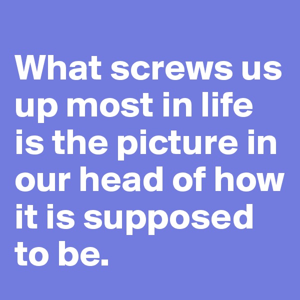                           What screws us up most in life is the picture in our head of how it is supposed to be.