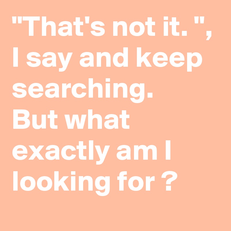 "That's not it. ",
I say and keep searching.
But what exactly am I looking for ? 