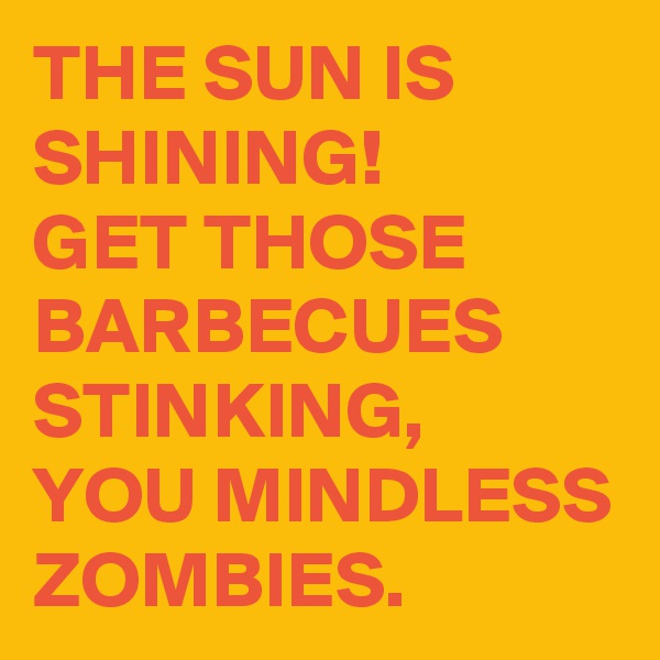 THE SUN IS SHINING!
GET THOSE BARBECUES STINKING,
YOU MINDLESS ZOMBIES. 