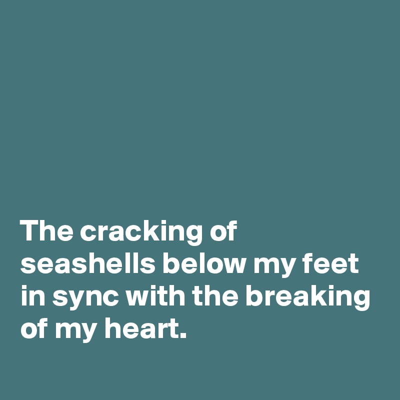 





The cracking of seashells below my feet in sync with the breaking of my heart.
