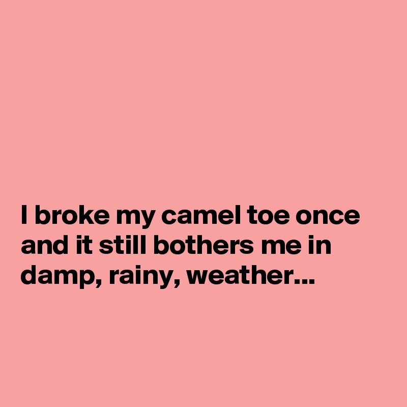 





I broke my camel toe once and it still bothers me in damp, rainy, weather...


