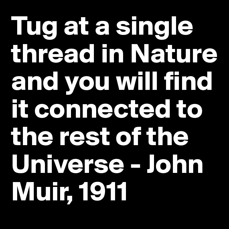 Tug at a single thread in Nature and you will find it connected to the rest of the Universe - John Muir, 1911