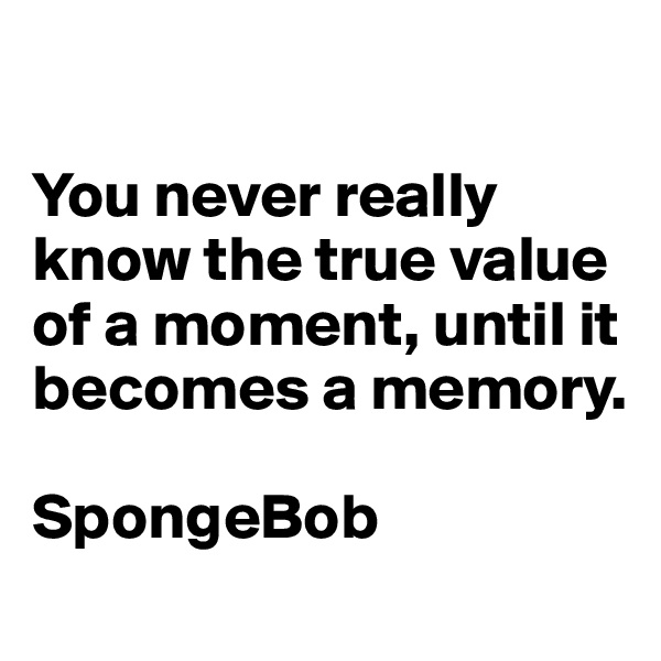 

You never really know the true value of a moment, until it becomes a memory.

SpongeBob

