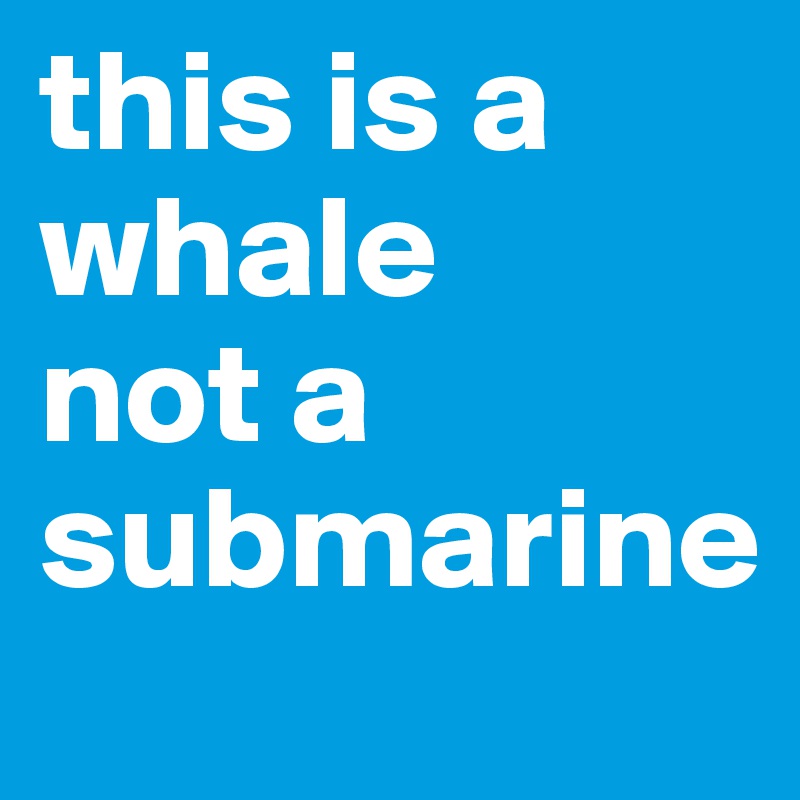 this is a whale    not a submarine