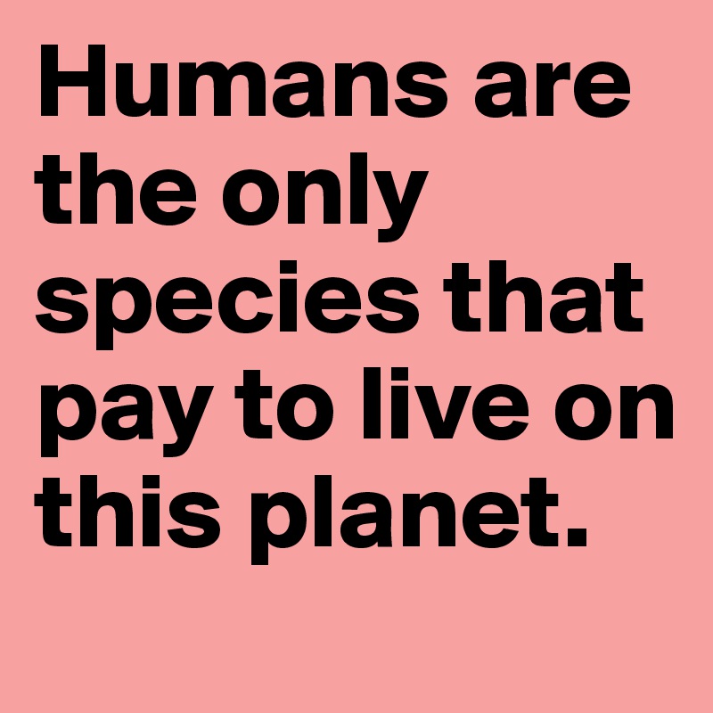 Humans are the only species that pay to live on this planet.