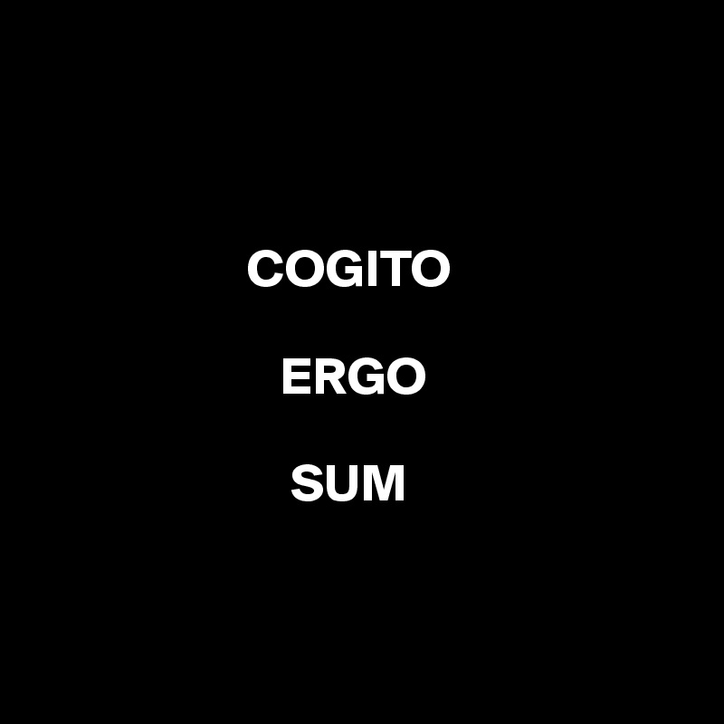Cogito Ergo Sum.