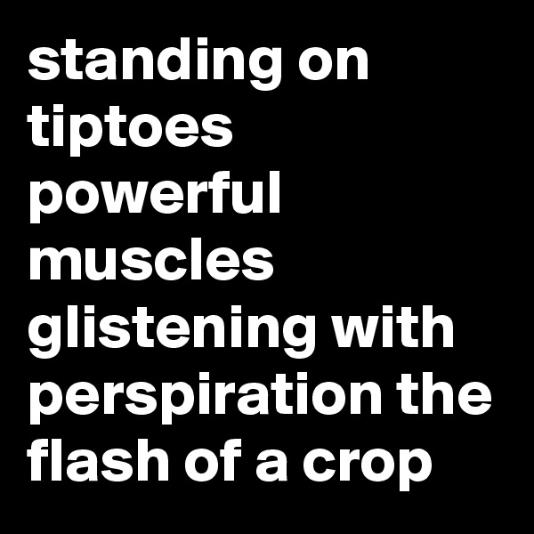 standing on tiptoes powerful muscles glistening with perspiration the flash of a crop