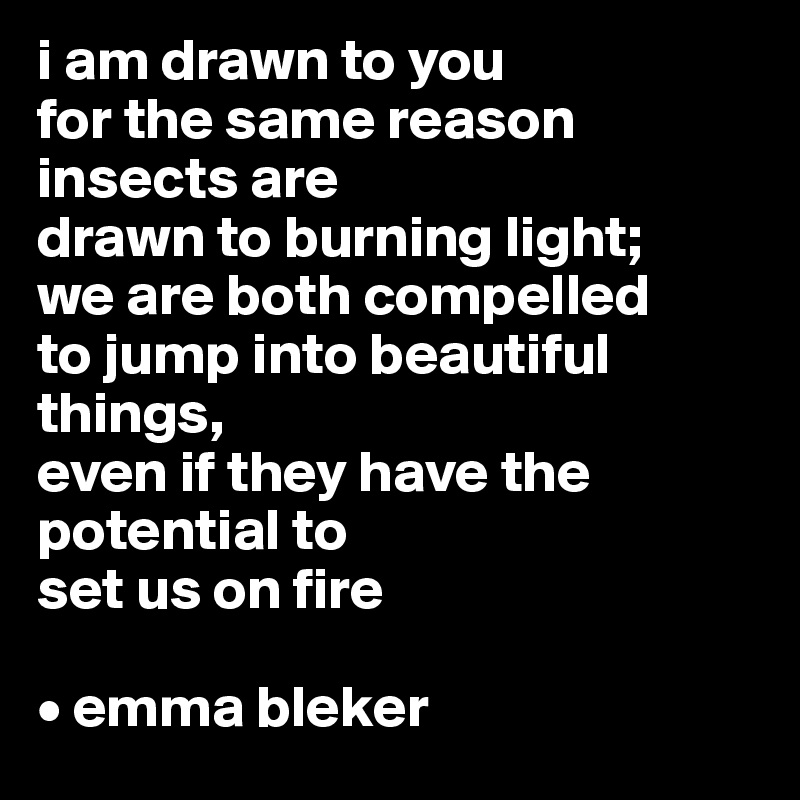 i am drawn to you
for the same reason insects are 
drawn to burning light;
we are both compelled
to jump into beautiful things,
even if they have the potential to
set us on fire

• emma bleker