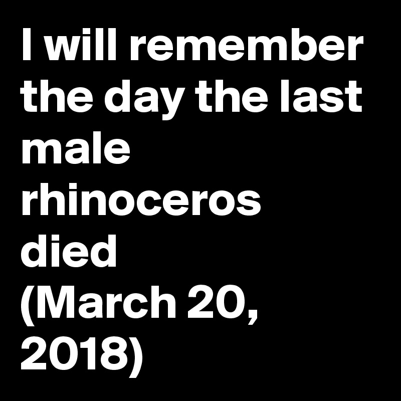 I will remember the day the last male rhinoceros died 
(March 20, 2018)