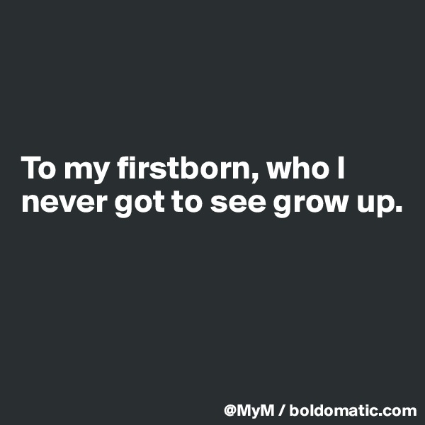 



To my firstborn, who I never got to see grow up.




