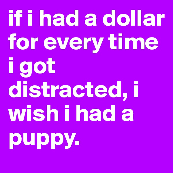 if i had a dollar for every time i got distracted, i wish i had a puppy.