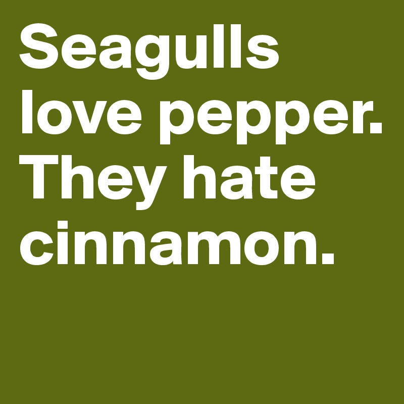 Seagulls love pepper.
They hate cinnamon.
