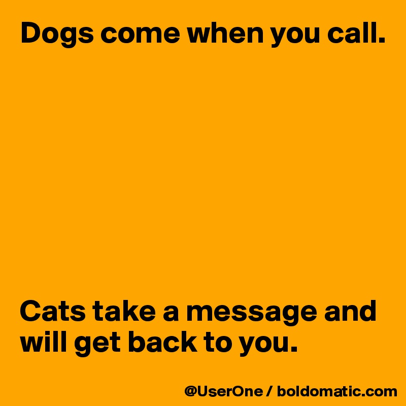Dogs come when you call.








Cats take a message and will get back to you.