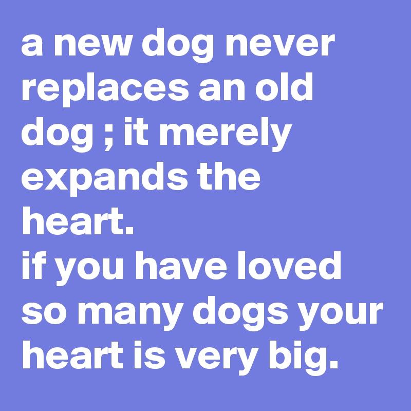 a new dog never replaces an old dog ; it merely expands the heart. 
if you have loved so many dogs your heart is very big. 