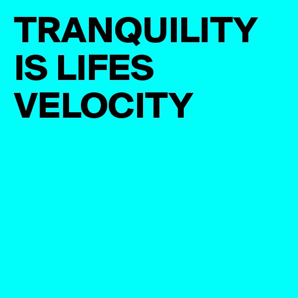 TRANQUILITY IS LIFES VELOCITY



