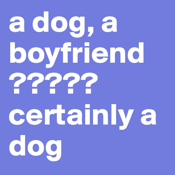 a dog, a boyfriend ?????
certainly a dog 