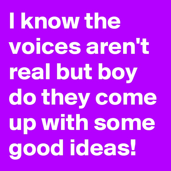 I know the voices aren't real but boy do they come up with some good ideas!
