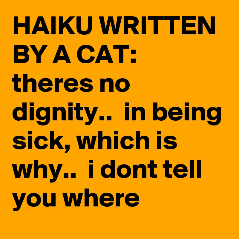 HAIKU WRITTEN BY A CAT:   theres no dignity..  in being sick, which is why..  i dont tell you where