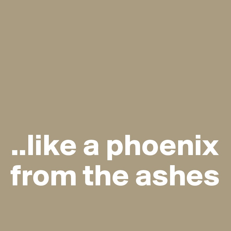 



..like a phoenix from the ashes