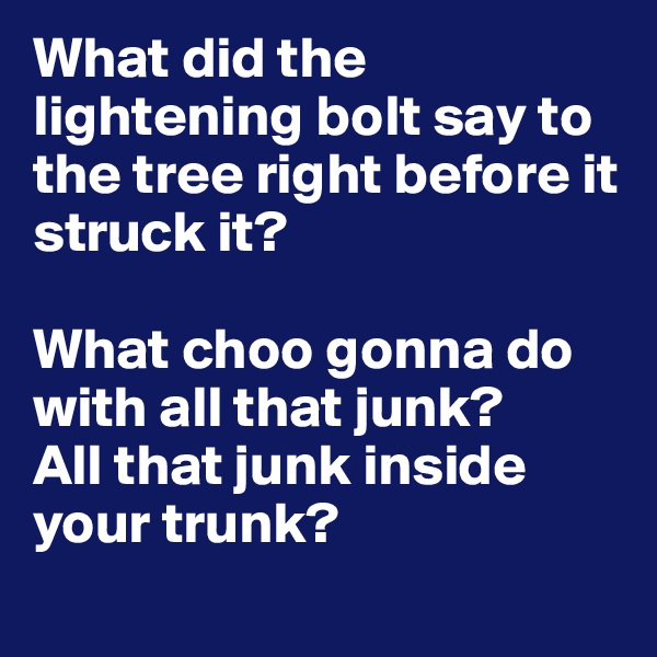 What did the lightening bolt say to the tree right before it struck it? 

What choo gonna do with all that junk? 
All that junk inside your trunk? 
