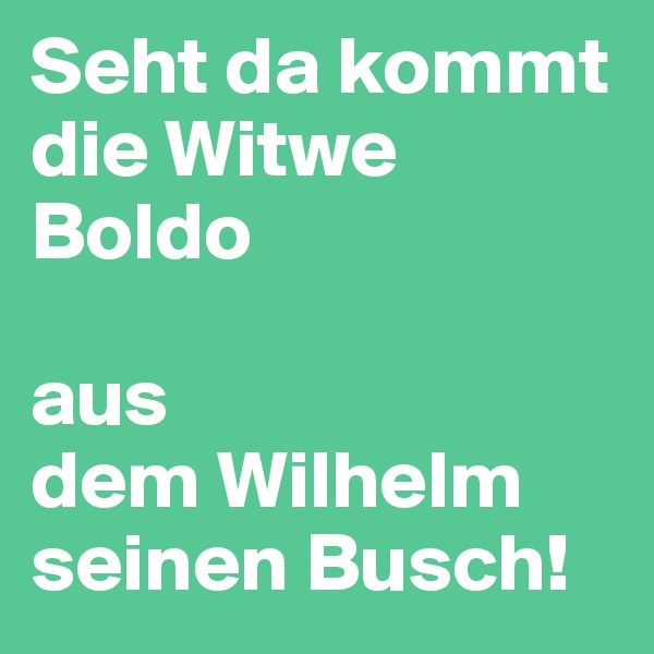 Seht da kommt die Witwe Boldo 

aus 
dem Wilhelm seinen Busch!