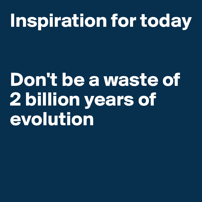 Inspiration for today


Don't be a waste of 2 billion years of evolution 


