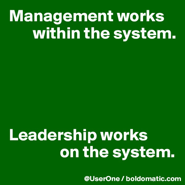 Management works
       within the system.





Leadership works
               on the system.