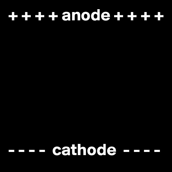 + + + + anode + + + +







- - - -  cathode  - - - - 