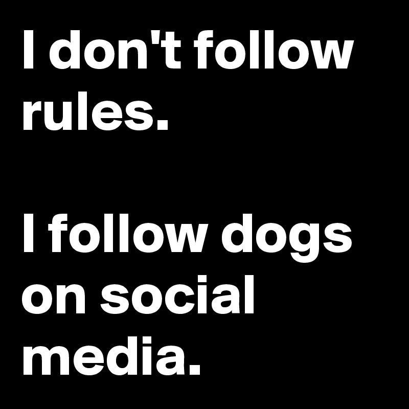 I don't follow rules.

I follow dogs on social media.
