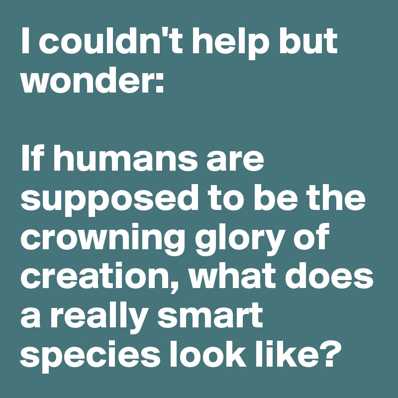 I couldn't help but wonder:

If humans are supposed to be the crowning glory of creation, what does a really smart species look like? 
