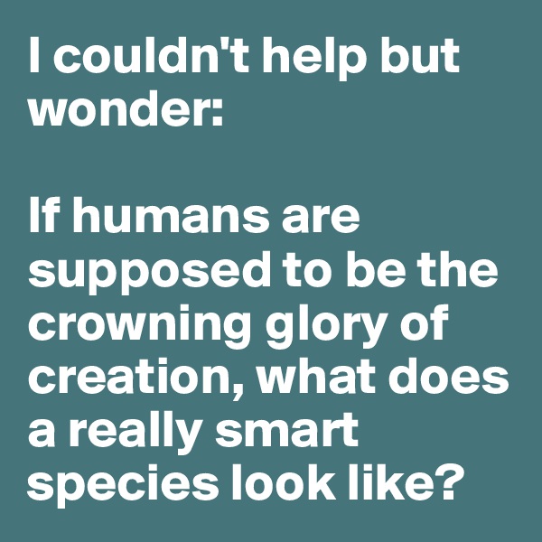 I couldn't help but wonder:

If humans are supposed to be the crowning glory of creation, what does a really smart species look like? 