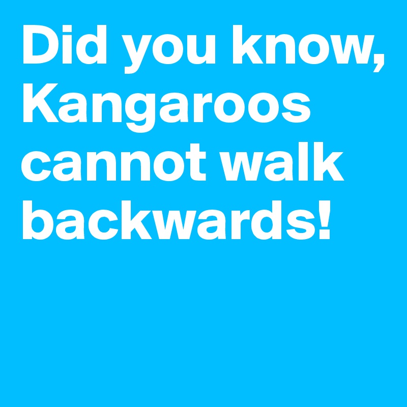 Did you know,
Kangaroos
cannot walk backwards!

