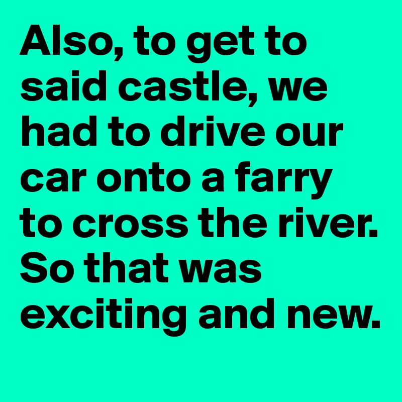 Also, to get to said castle, we had to drive our car onto a farry to cross the river. So that was exciting and new. 