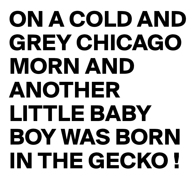 ON A COLD AND GREY CHICAGO MORN AND ANOTHER LITTLE BABY BOY WAS BORN IN THE GECKO !