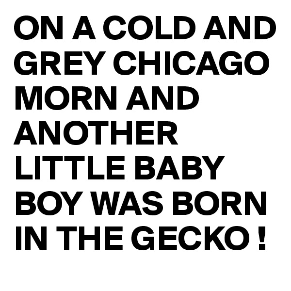 ON A COLD AND GREY CHICAGO MORN AND ANOTHER LITTLE BABY BOY WAS BORN IN THE GECKO !