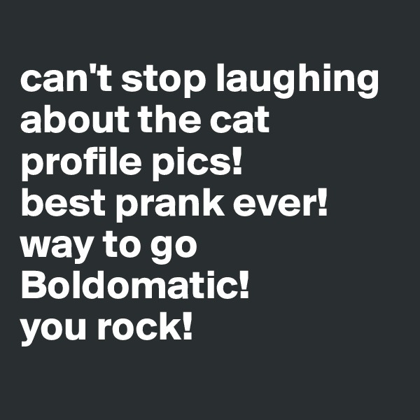 
can't stop laughing about the cat profile pics! 
best prank ever! 
way to go Boldomatic! 
you rock!
