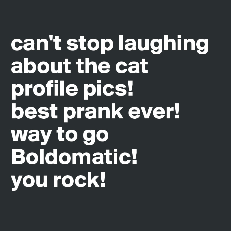 
can't stop laughing about the cat profile pics! 
best prank ever! 
way to go Boldomatic! 
you rock!
